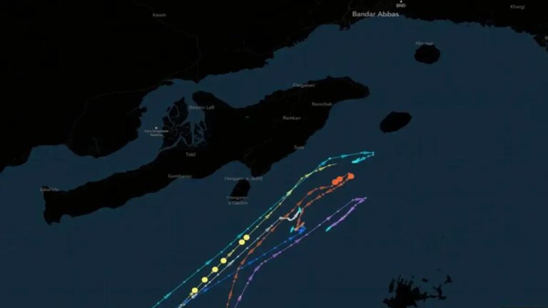 Tensions in the Strait of Hormuz: India Pushes Back Amid Rising Maritime Uncertainty